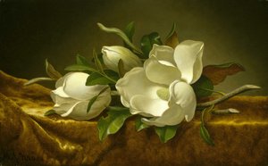 Magnolias على القماش المخملي الذهبي